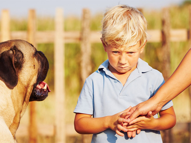 ترس از حیوانات یا زوفوبیا می‌تواند از دوران کودکی ایجاد شود
